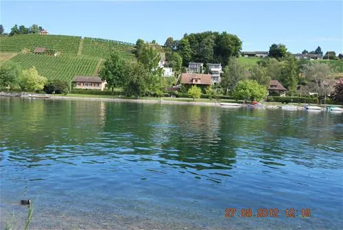 tcscamping-rheinwiesen-langwiesen-83jks