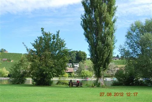 tcscamping-rheinwiesen-langwiesen-jgrzz