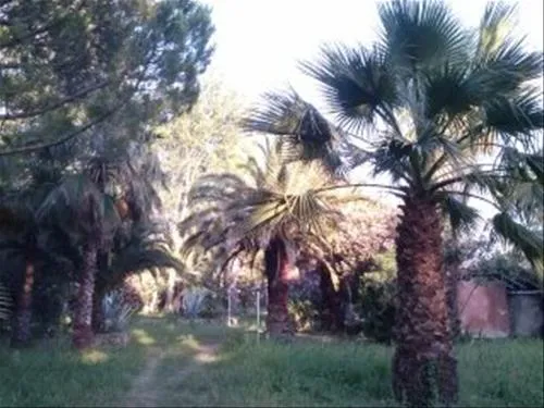 altincamp-burhaniye-cw9hb