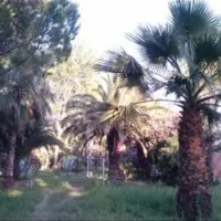 altincamp-burhaniye-cw9hb
