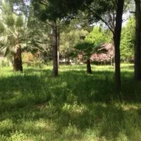 altincamp-burhaniye-ik8is