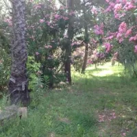altincamp-burhaniye-upqjs