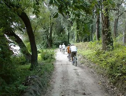 papsziget-camping-szentendre-anxjk