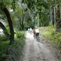 papsziget-camping-szentendre-anxjk