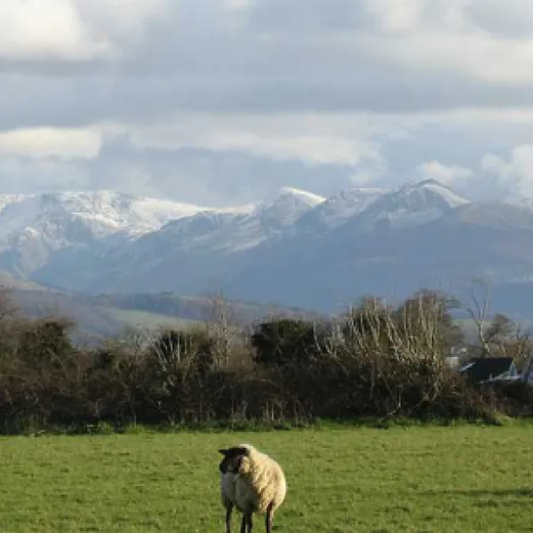 kingsbridge-touring-and-camping-beaumaris-qrae5