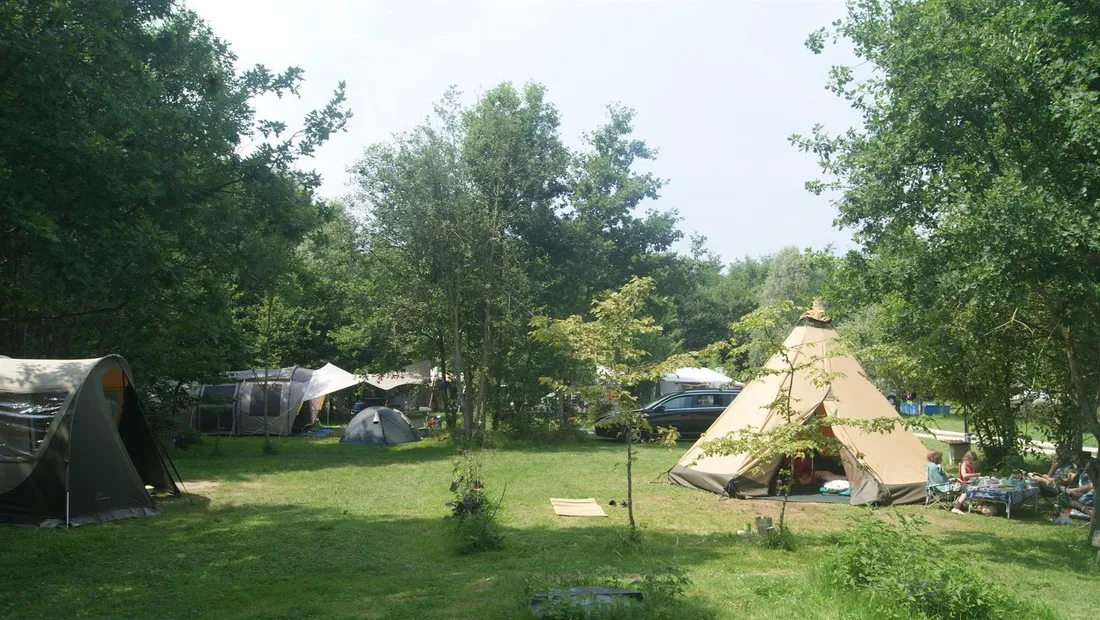 camping-les-arbois-saneetloire-yobcp