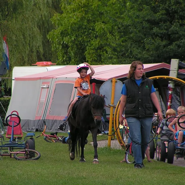 camping-hoeve-heikant-lage-mierde-3yhwz