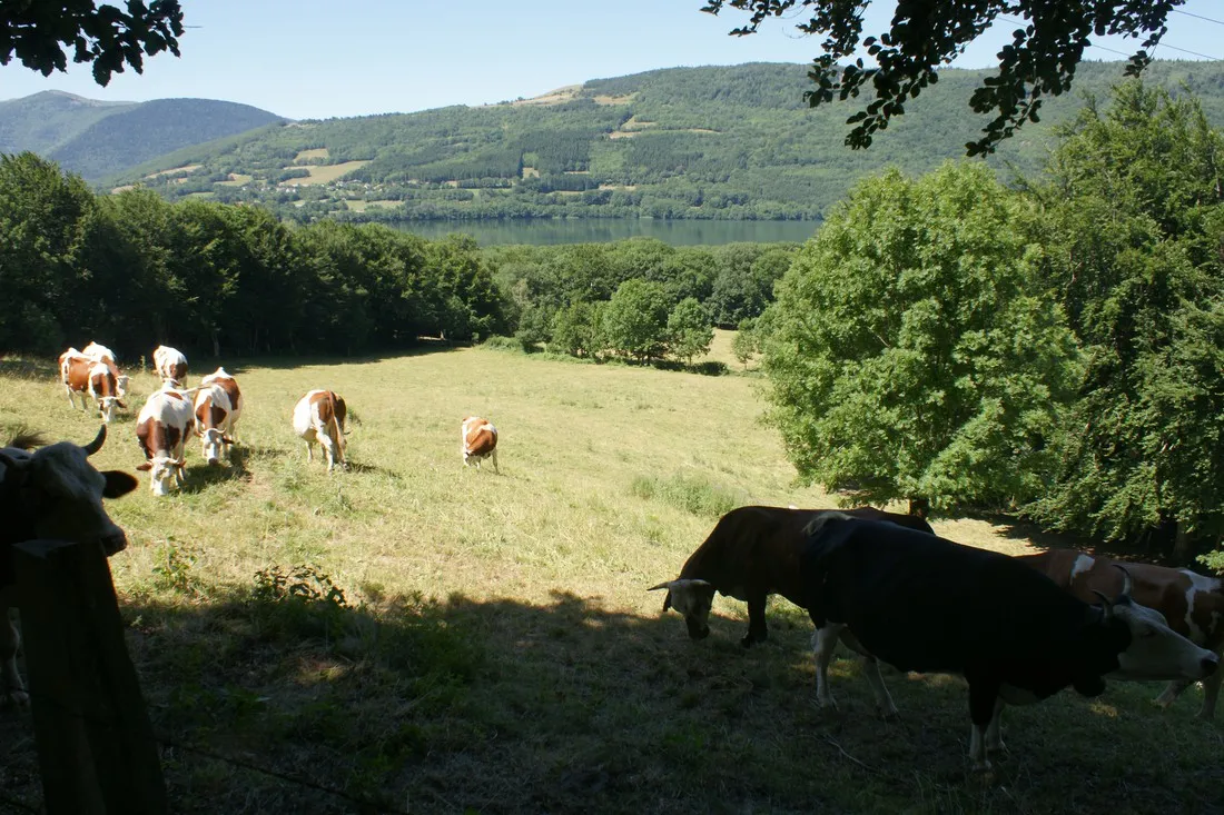 camping-au-pr-du-lac-isre-0gaiv