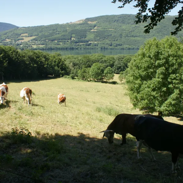 camping-au-pr-du-lac-isre-0gaiv