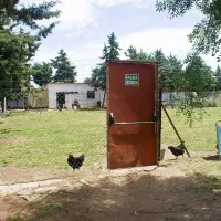Camping Mérida