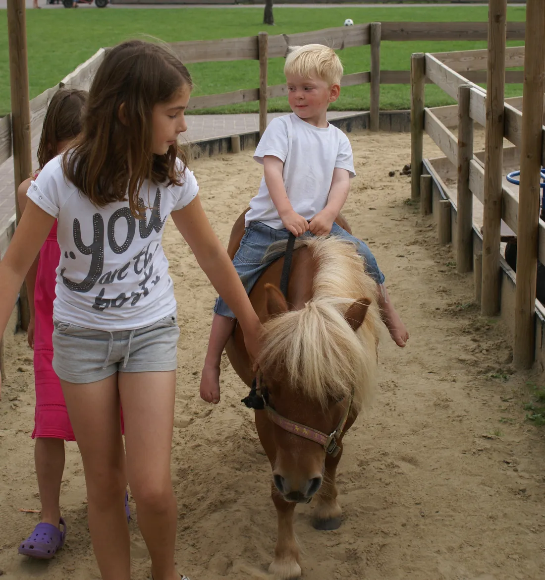 camping-de-flierefluiter-raalte-ildmy