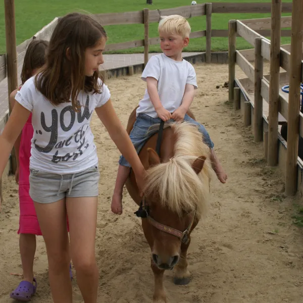 camping-de-flierefluiter-raalte-ildmy