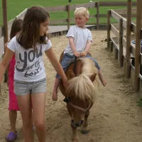 camping-de-flierefluiter-raalte-ildmy