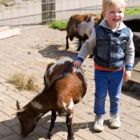 Camping De Flierefluiter