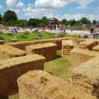 camping-de-flierefluiter-raalte-twypj