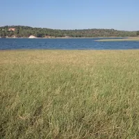 Parque de Campismo de Montargil / Orbitur