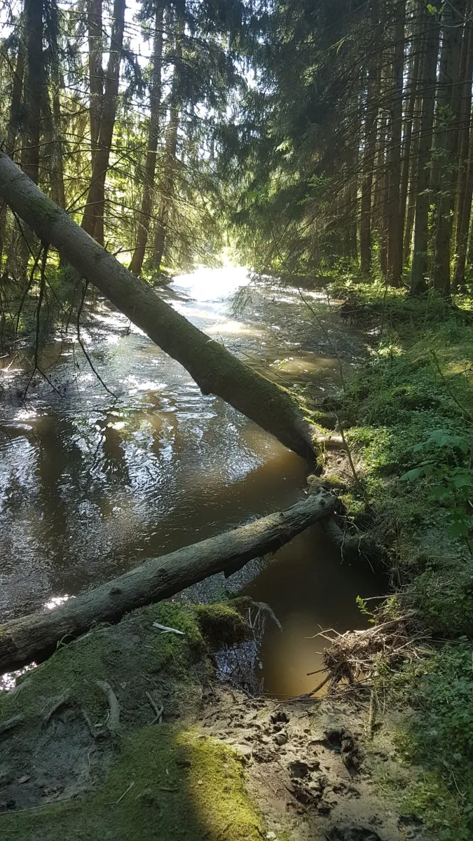 camping-woltzdal-maulusmhle-gsreg