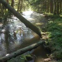 camping-woltzdal-maulusmhle-gsreg