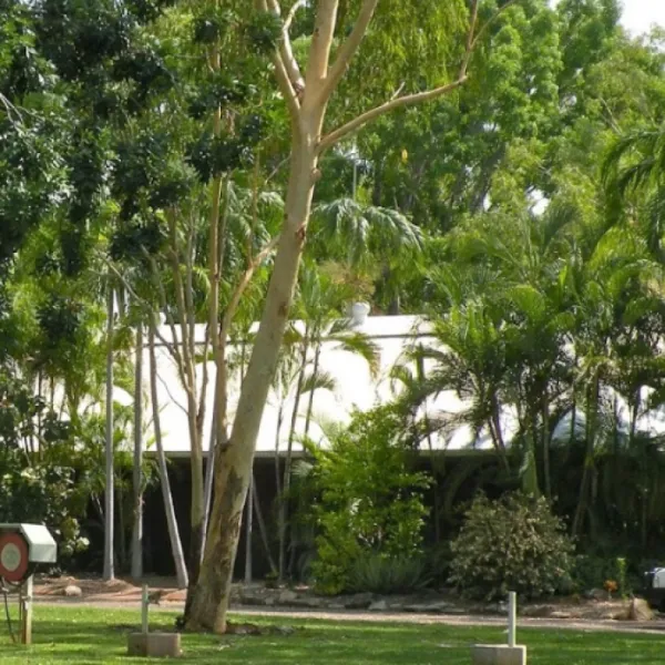 big4-katherine-holiday-park-katherine-rswks