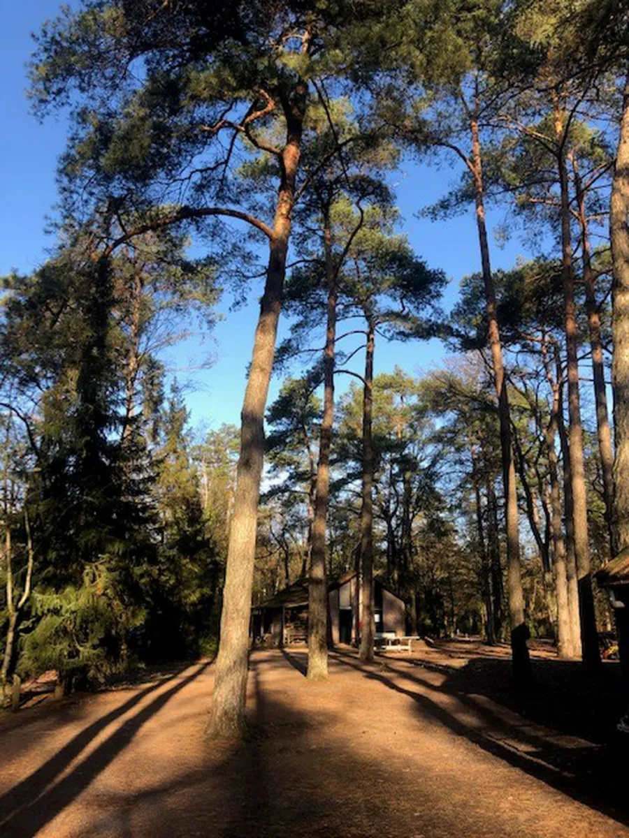 landgoedcamping-het-meuleman-de-lutte-turzs