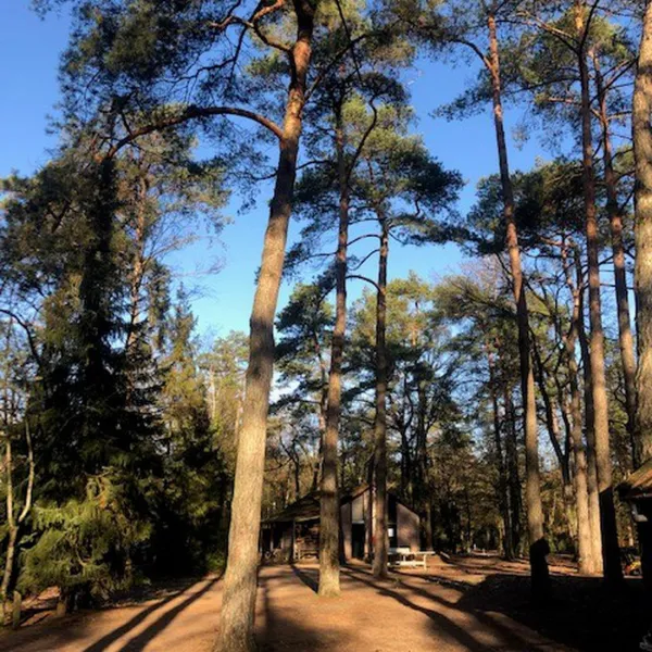 landgoedcamping-het-meuleman-de-lutte-turzs