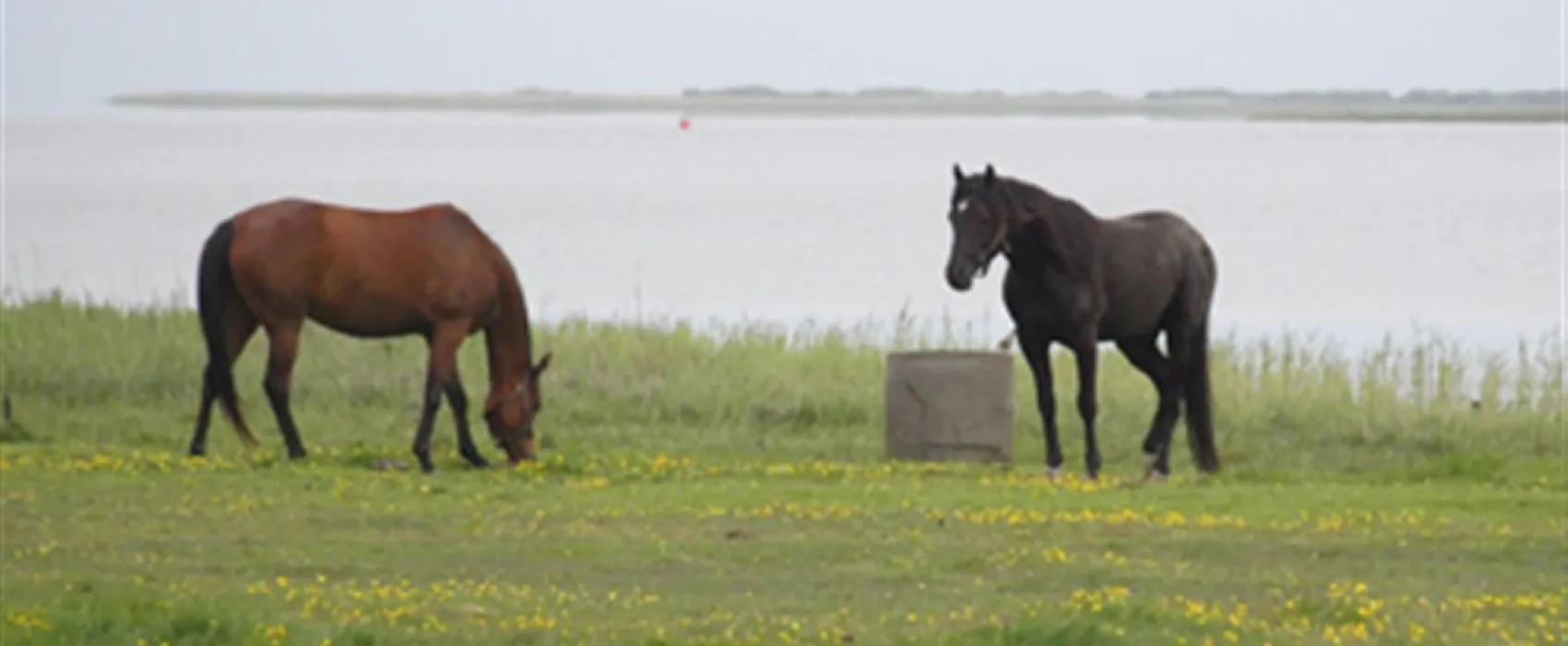 Bjerregaard Camping