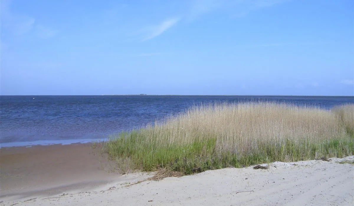 bjerregaard-camping-hvide-sande-bzvwl