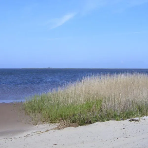 bjerregaard-camping-hvide-sande-bzvwl
