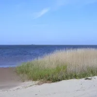 bjerregaard-camping-hvide-sande-bzvwl