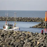 bjerregaard-camping-hvide-sande-dgew1