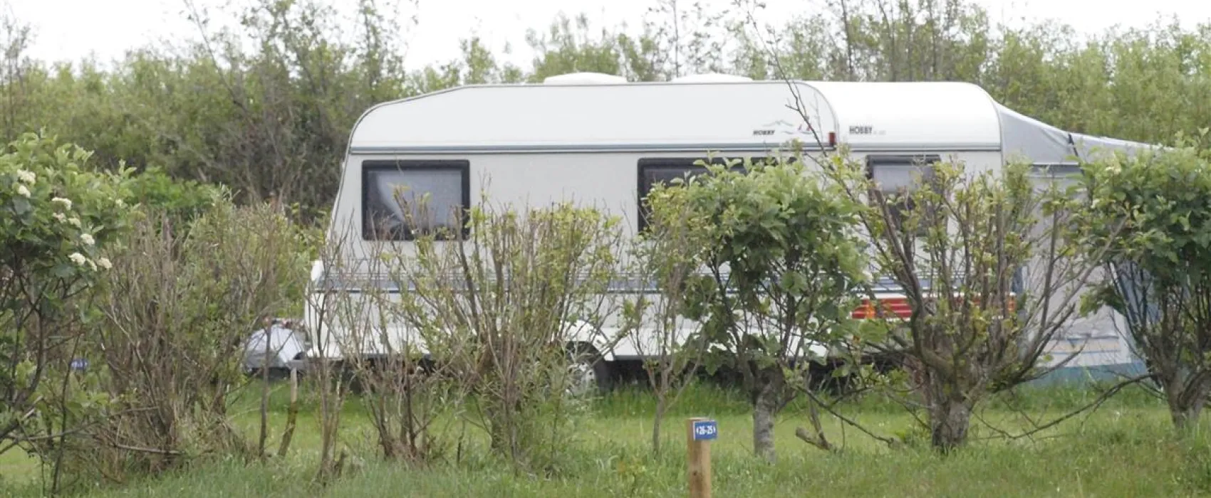 Bjerregaard Camping