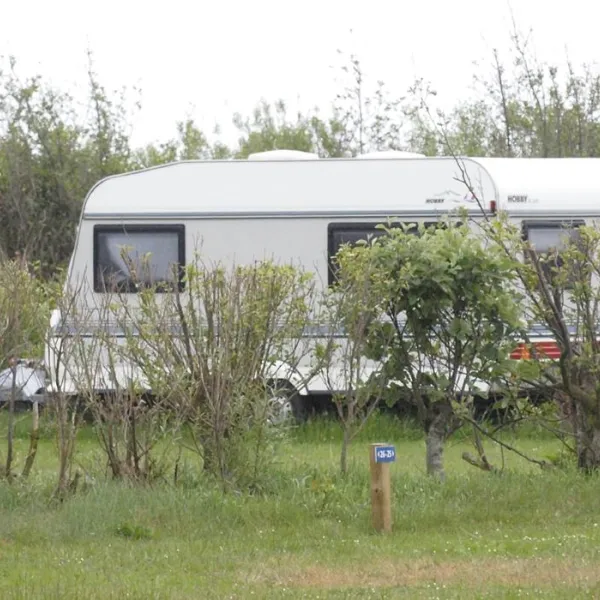 bjerregaard-camping-hvide-sande-gufga