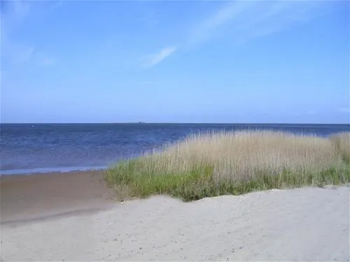 bjerregaard-camping-hvide-sande-nme0t