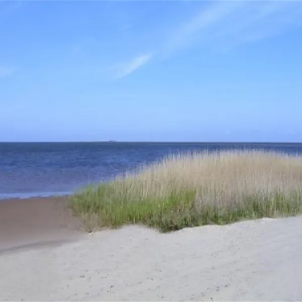 bjerregaard-camping-hvide-sande-nme0t