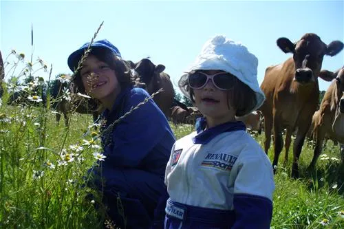 gyvelborg-bondegaardscamping-nrre-snede-bbtlp