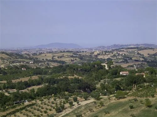 forestacamping-montottone-hoe8b