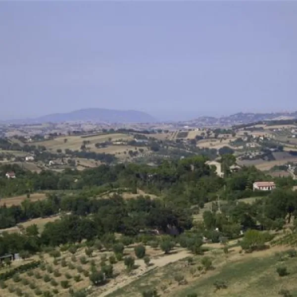forestacamping-montottone-hoe8b