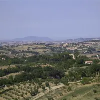 forestacamping-montottone-hoe8b