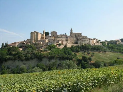 forestacamping-montottone-kfogm