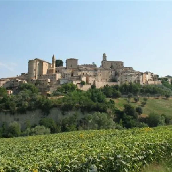 forestacamping-montottone-kfogm