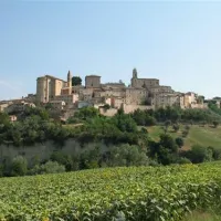 forestacamping-montottone-kfogm