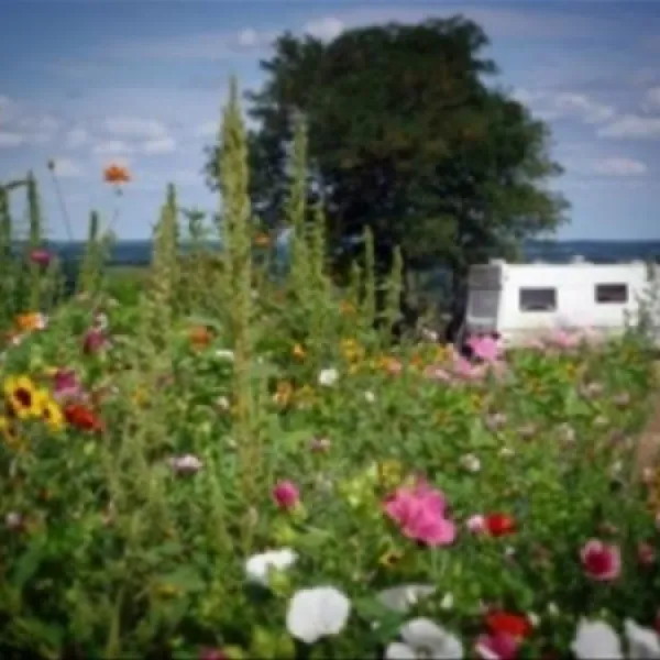camping-de-chantepie-saumour-nqmpr