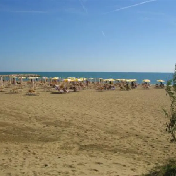 union-lido-cavallino-dcelg