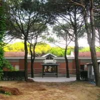 union-lido-cavallino-ncioo
