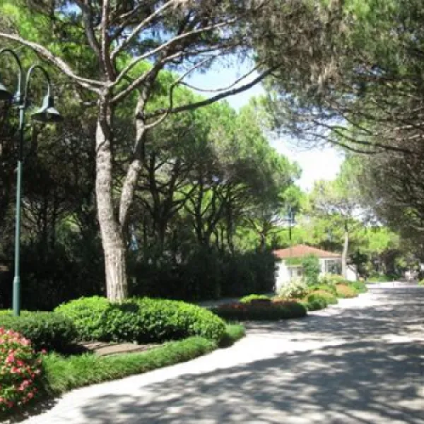 union-lido-cavallino-ull8s