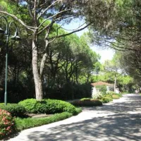 union-lido-cavallino-ull8s