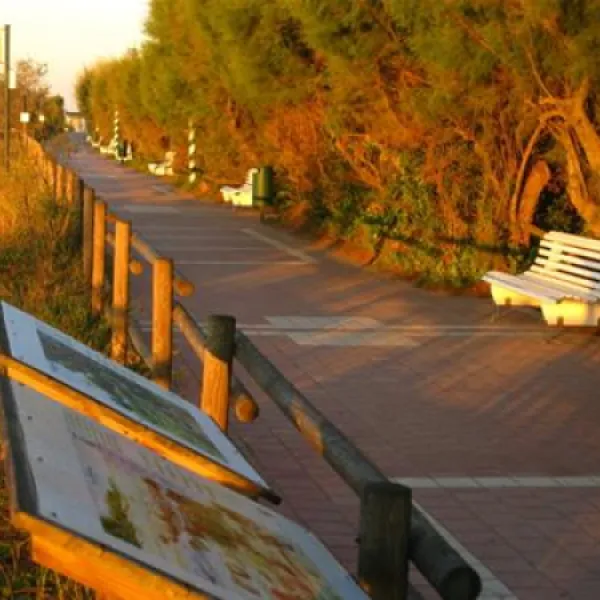 union-lido-cavallino-unnyq