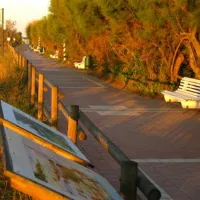 union-lido-cavallino-unnyq