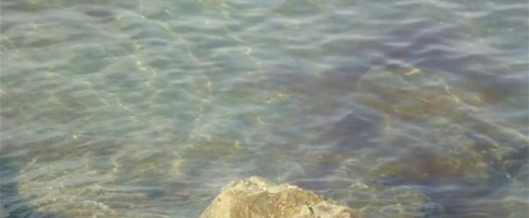 Union Lido