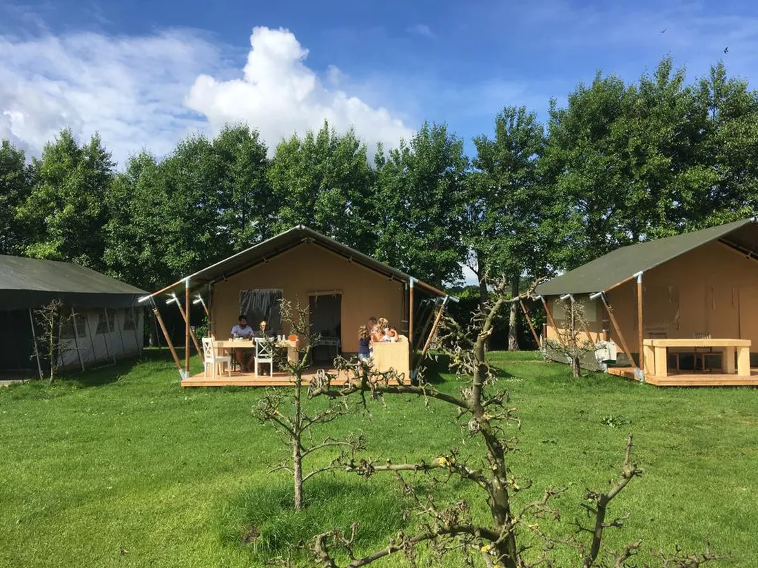 arado-camping-lodge-medemblik-p6xlh